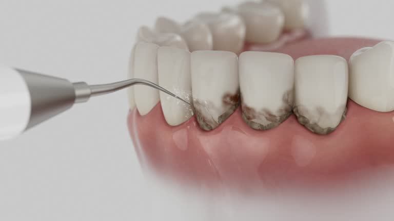 Reliable Dental contractor in Kissimmee, FL by Dentist Open Now